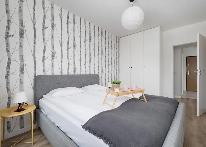 Subtle Grey Apartment With Furnished Balcony And Parking In Krakow By Noclegi Renters