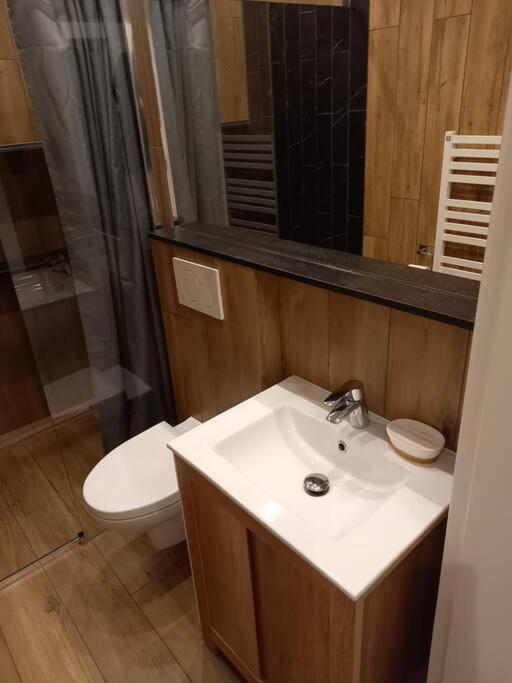Apartament Studio Delux Kraków