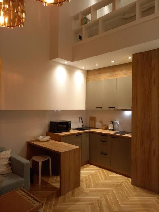 Apartament Studio Delux Kraków
