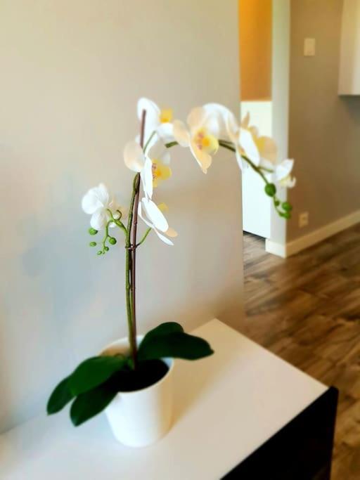 Modern Capital Downtown 2 Balcony Apartment
