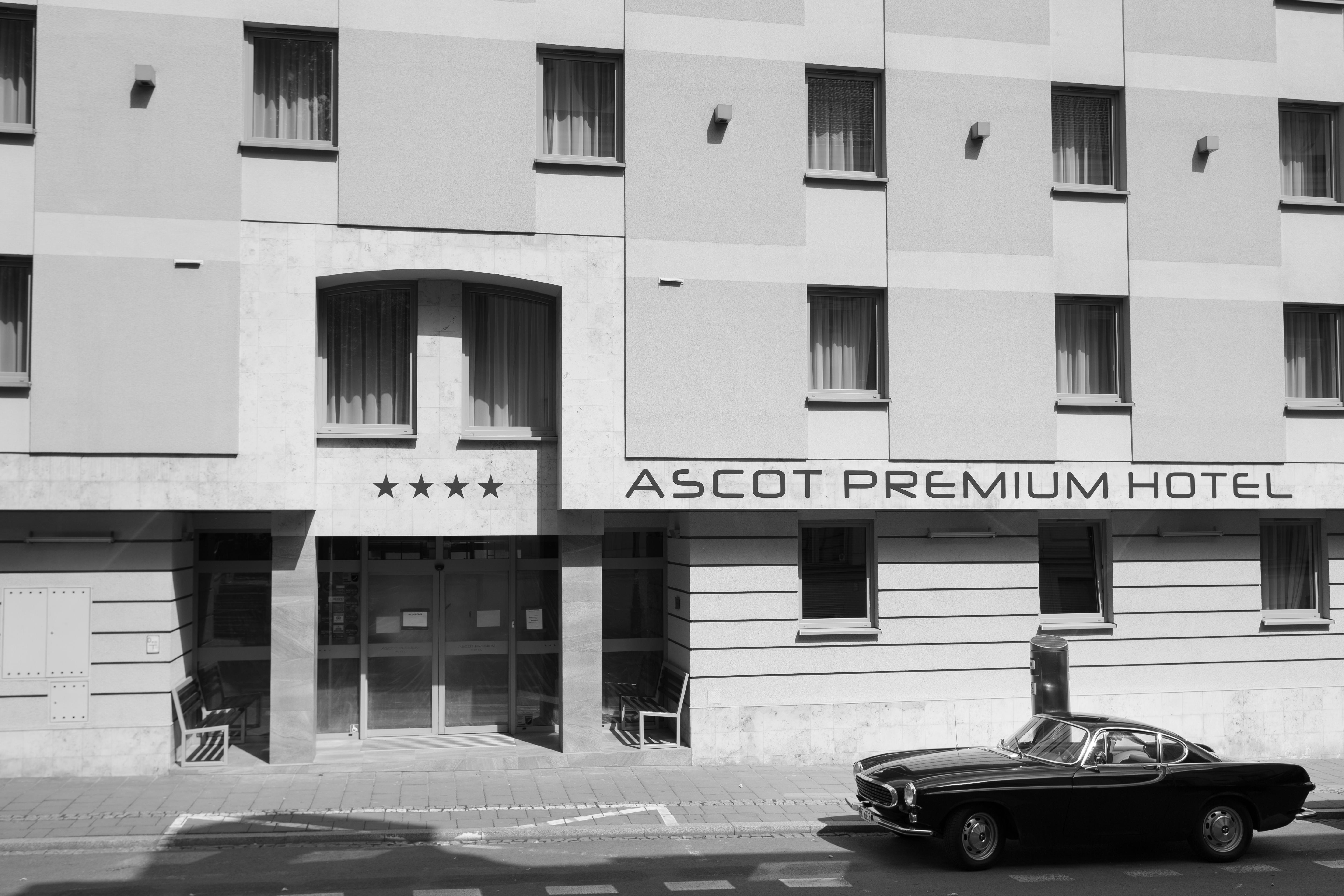 Ascot Premium Krakau