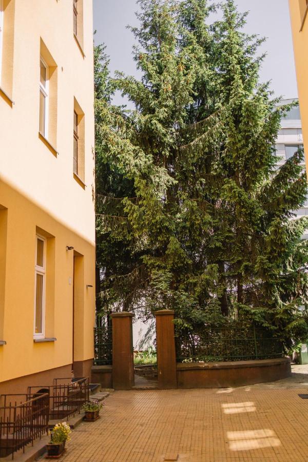 Hostel Girls Krakau
