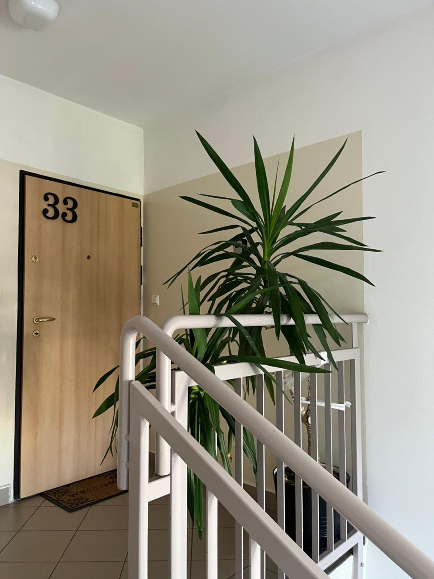 Apartment Soltysowska- Garaz Bezplatny