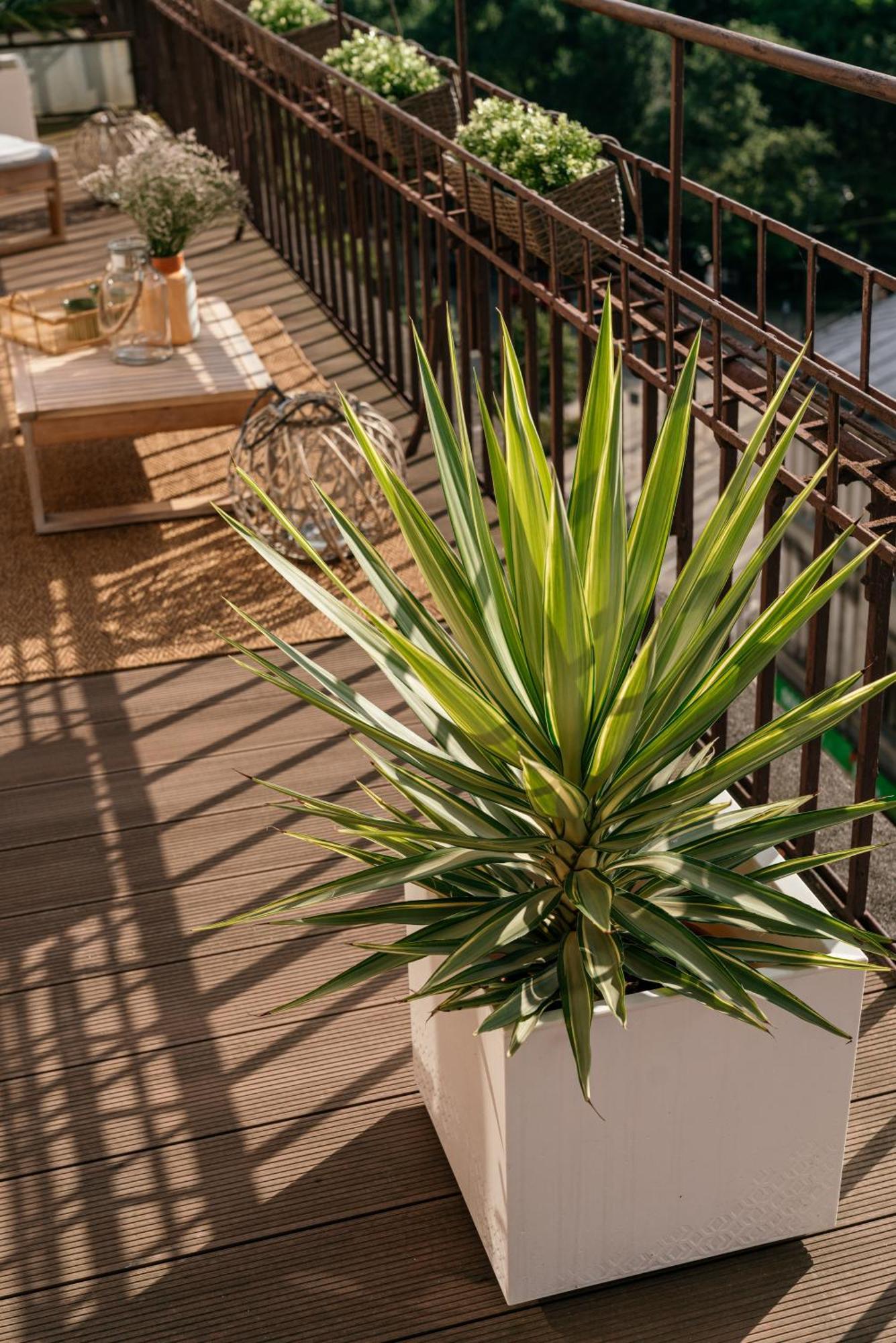 Apartment Penthouse Panorama - Loftaffair *
