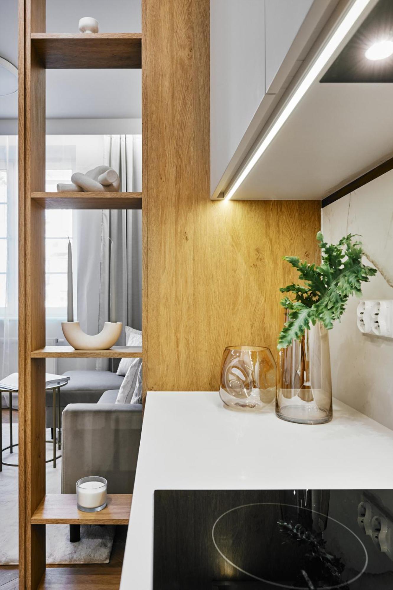 Apartment Rentplanet - Krasinskiego Krakow