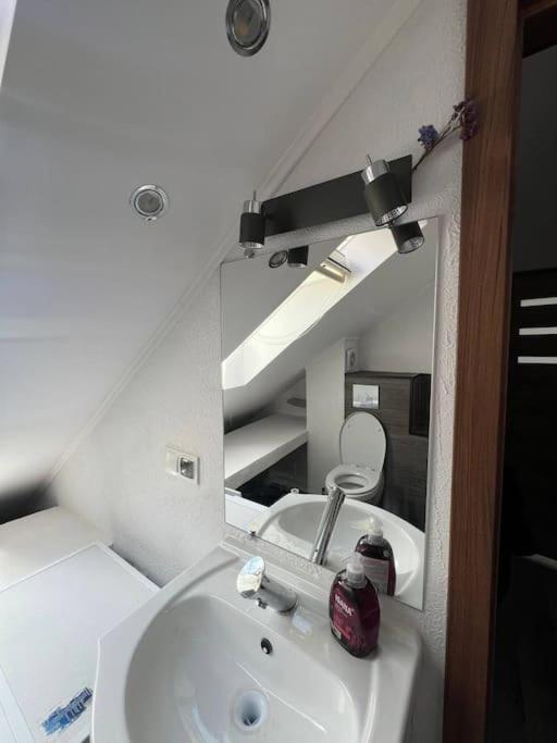 Big Attic Near Tauron Arena Apartment Krakow
