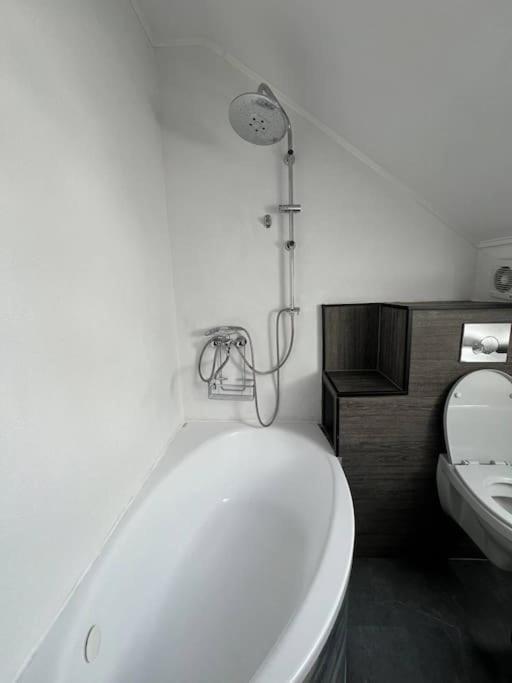 Apartment Big Attic Near Tauron Arena