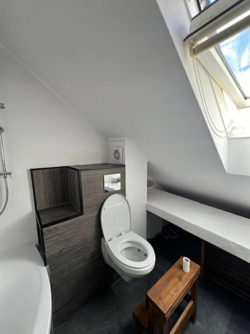 Big Attic Near Tauron Arena Apartment Krakow