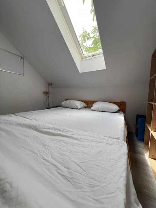 Big Attic Near Tauron Arena Krakow