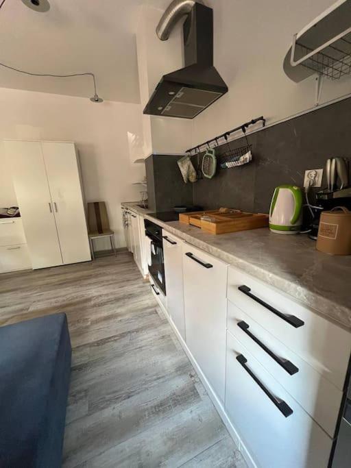 Apartment Big Attic Near Tauron Arena