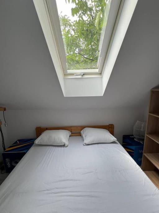 Big Attic Near Tauron Arena Apartment
