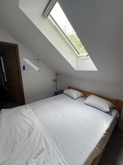 Big Attic Near Tauron Arena Apartment *