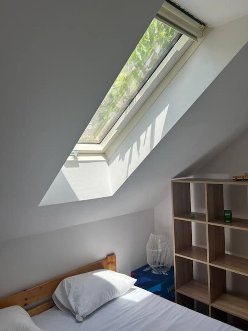 Big Attic Near Tauron Arena * Krakow