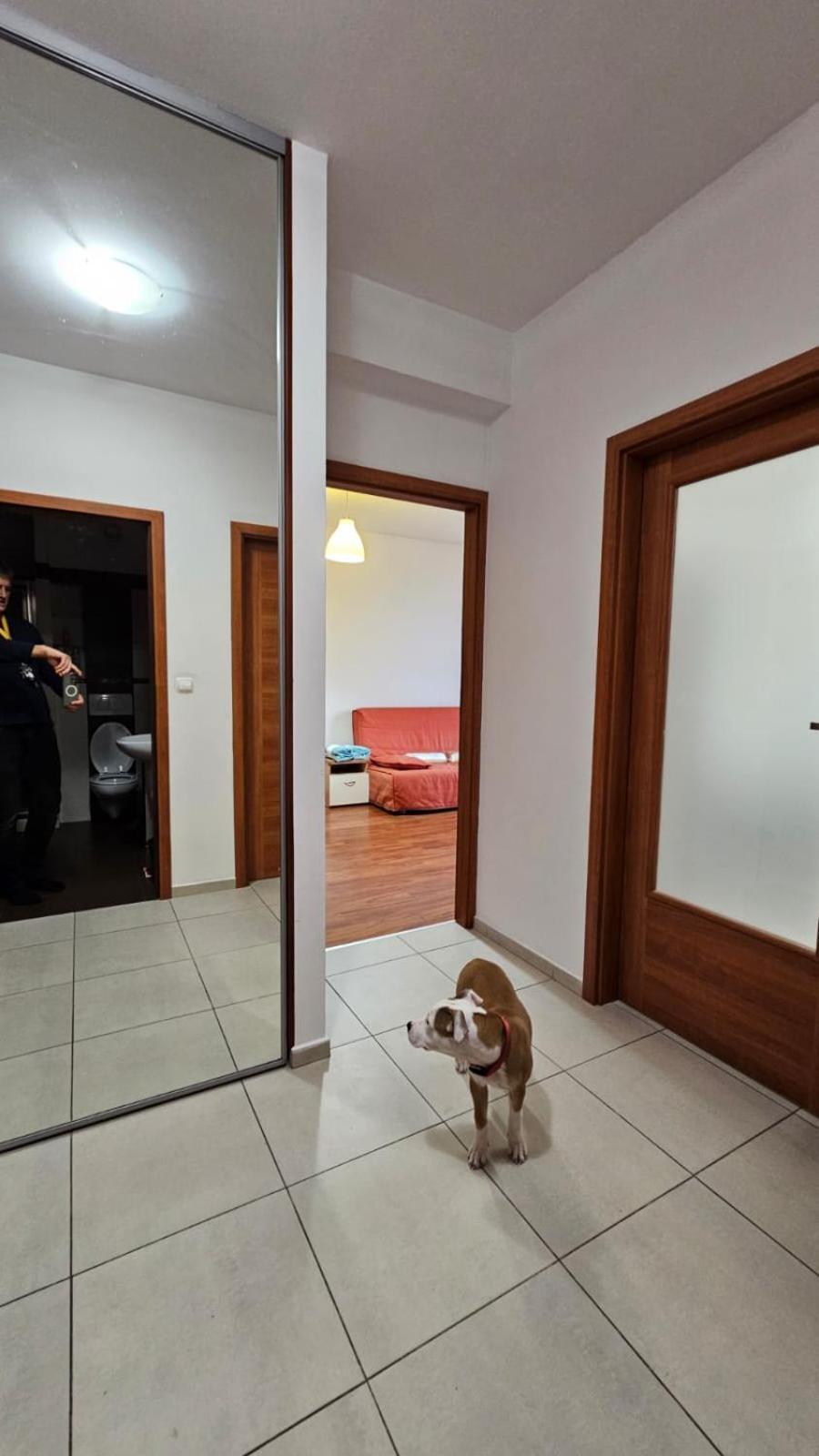 Lipinskiego Apartment Krakow