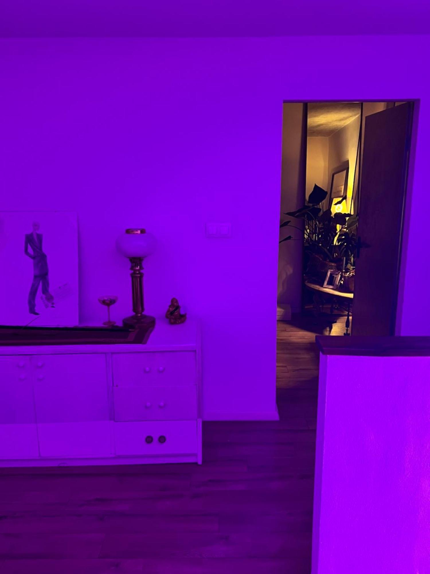 Exclusive Design Loft 60m2 Whole In The Center Of Cracow With A View! * Kraków