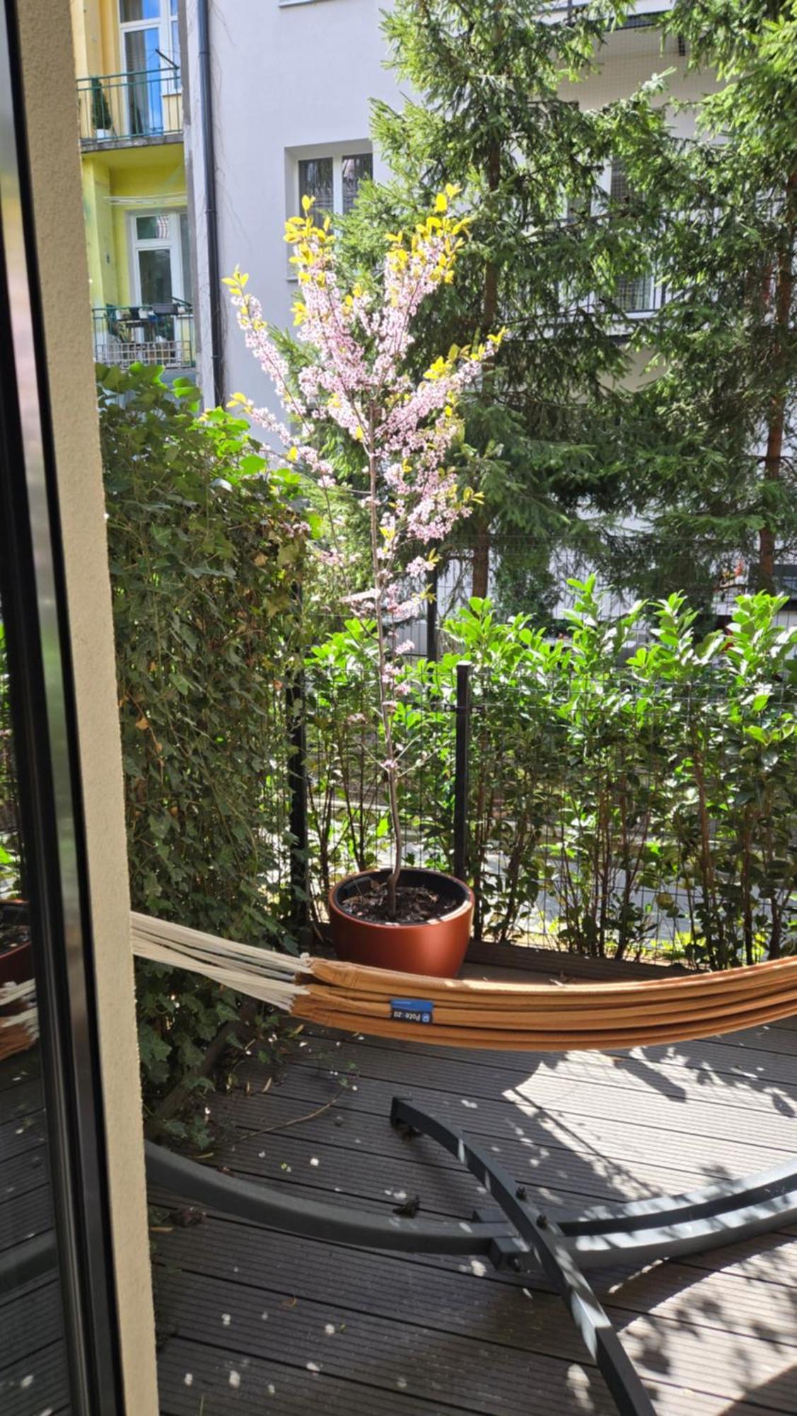 Luxury Old Town , Gym, Sauna & Swimming Pool ,hammock, Free Parking! Appartement Krakau
