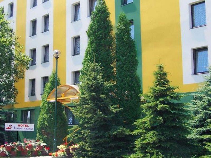 Rok Krakau