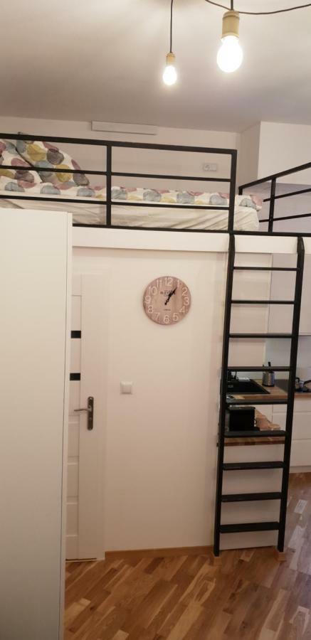 Appartement Lenartowicza Krakau