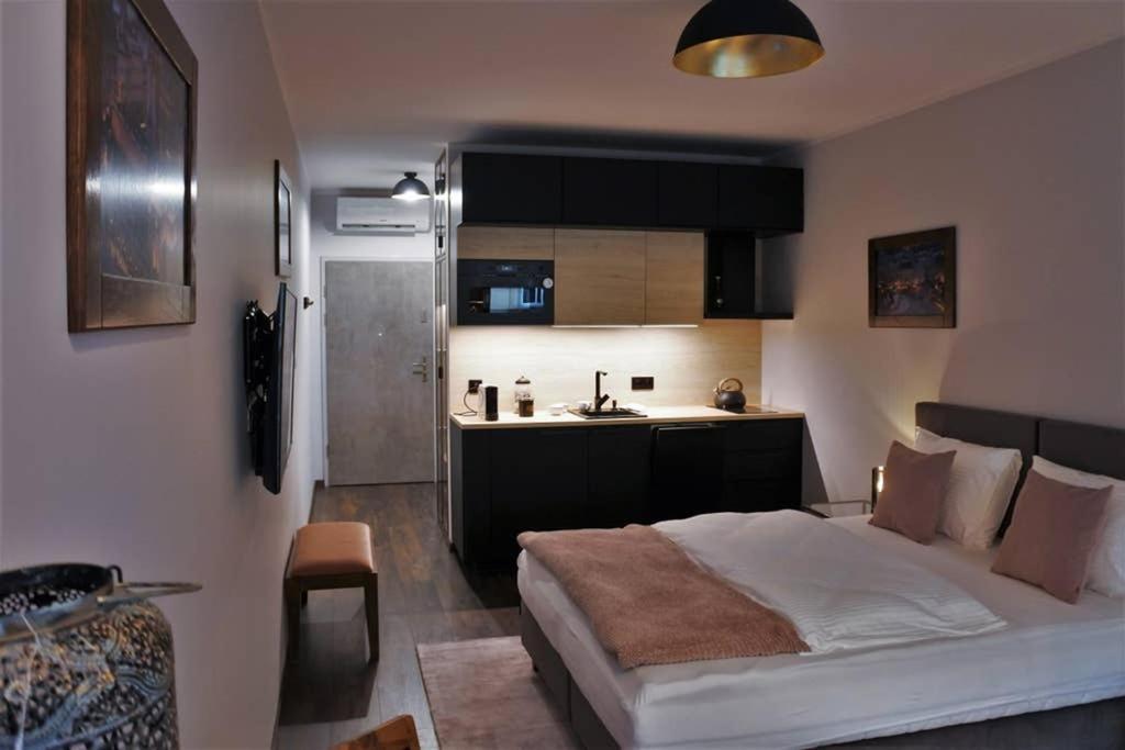 Boutique 109 - Old City, Luxury Apt. With A Garage Cracóvia