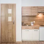 Zelazna Apartment Wawelofts