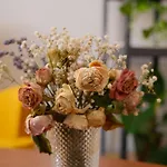 Apartamenty Nic