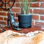 Art & Garden Residence