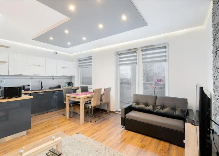 Danka Comfort Studio