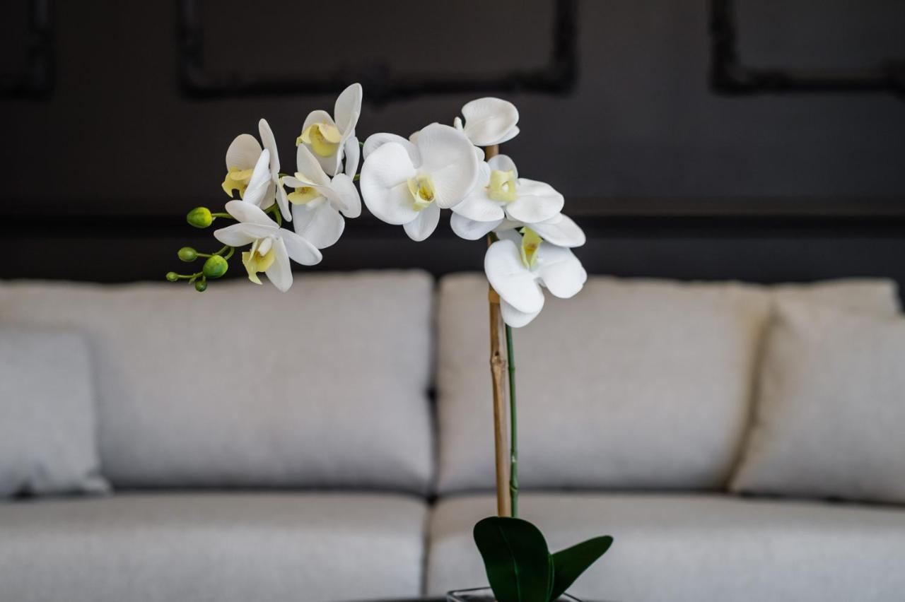 Groble Deluxe Wawelofts *