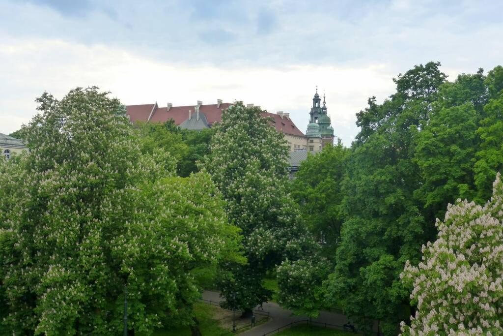 Apartament Gertrudy Traveler