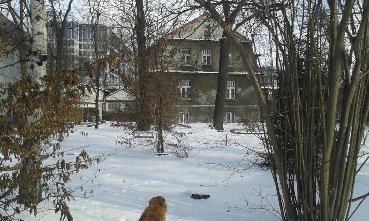 29 Avenue Cracóvia