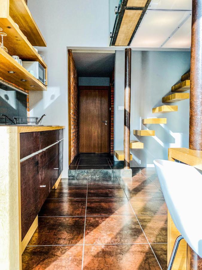 Apartamento Zwierzyniecka Lofts With Patio, Cracow Heart Old Town *
