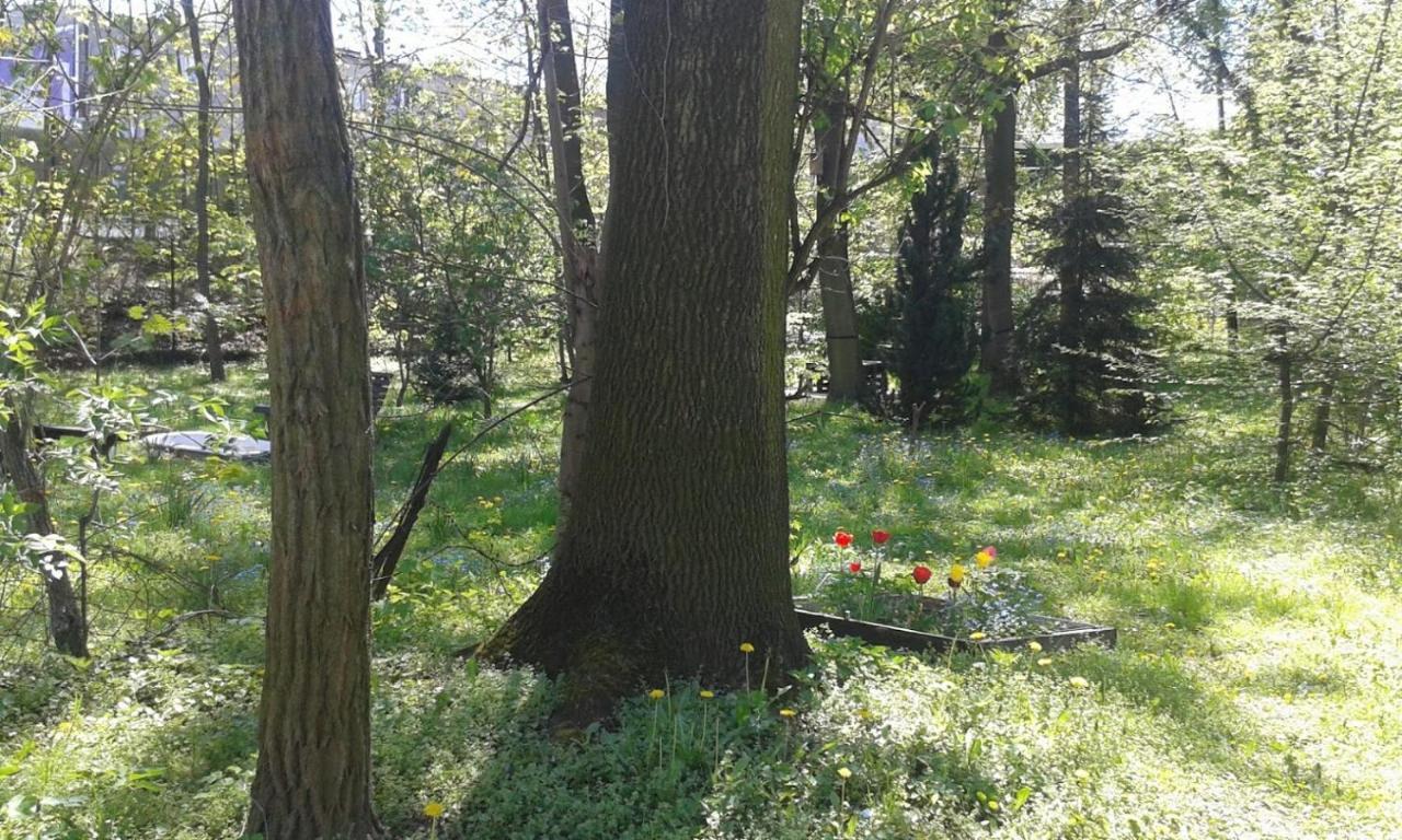 29 Avenue Apartamento Cracóvia