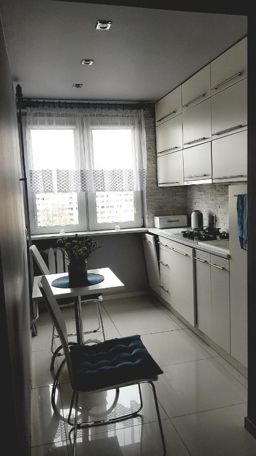 Przytulne mieszkanie w Krakowie Apartament
