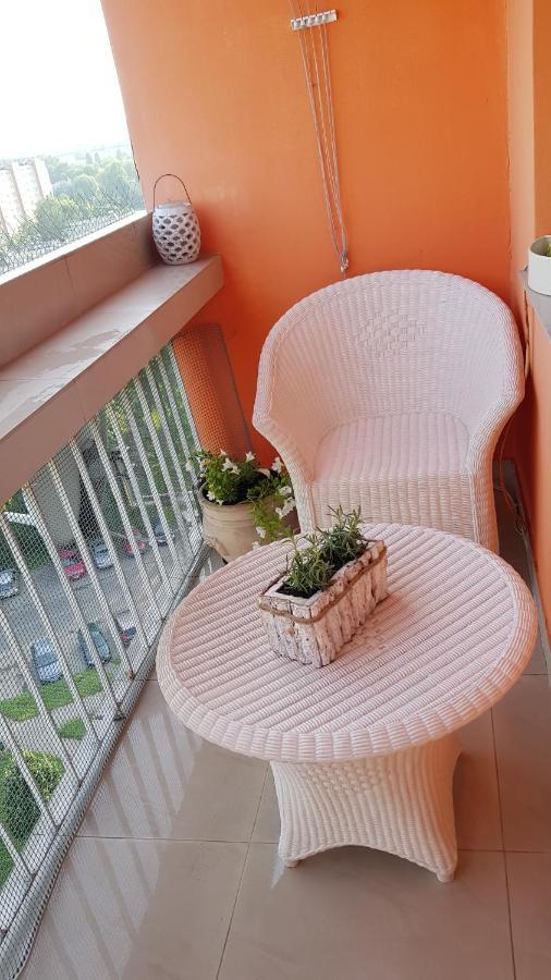 Apartament Przytulne mieszkanie w Krakowie Kraków