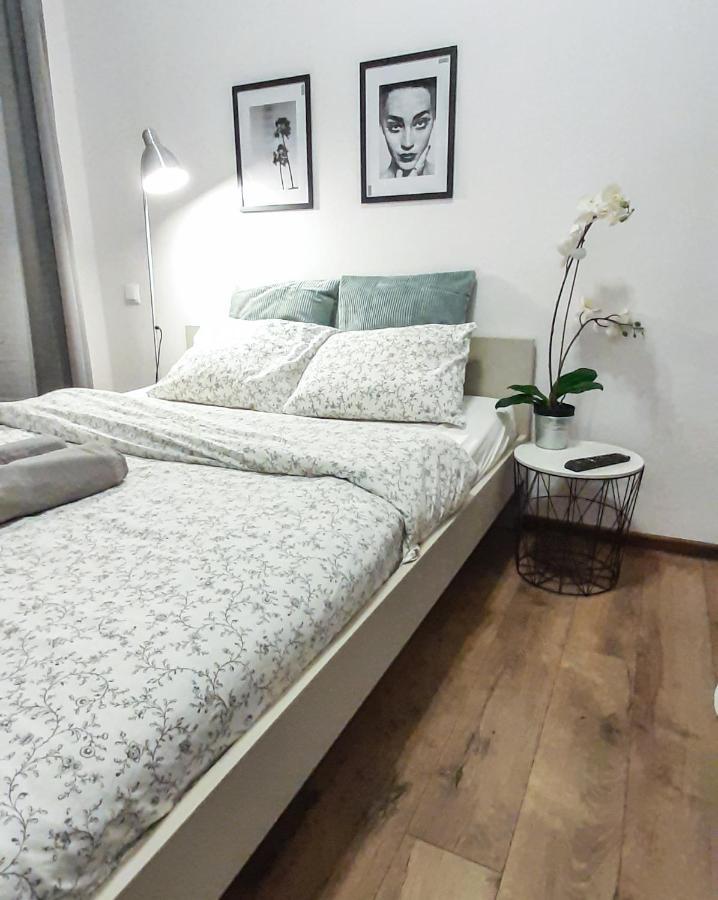 Apartment Lion - Laba Krakow