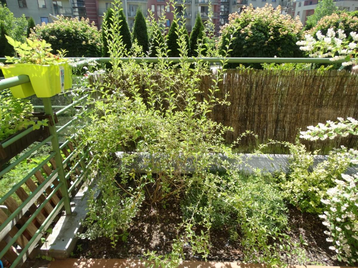 Appartement Apartament Zielony Taras
