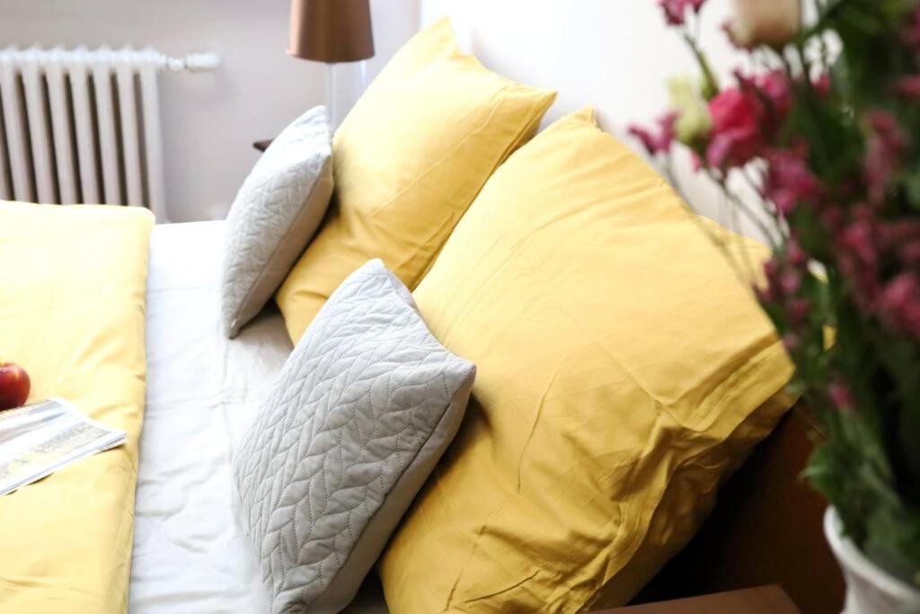 Batorego Cosy *