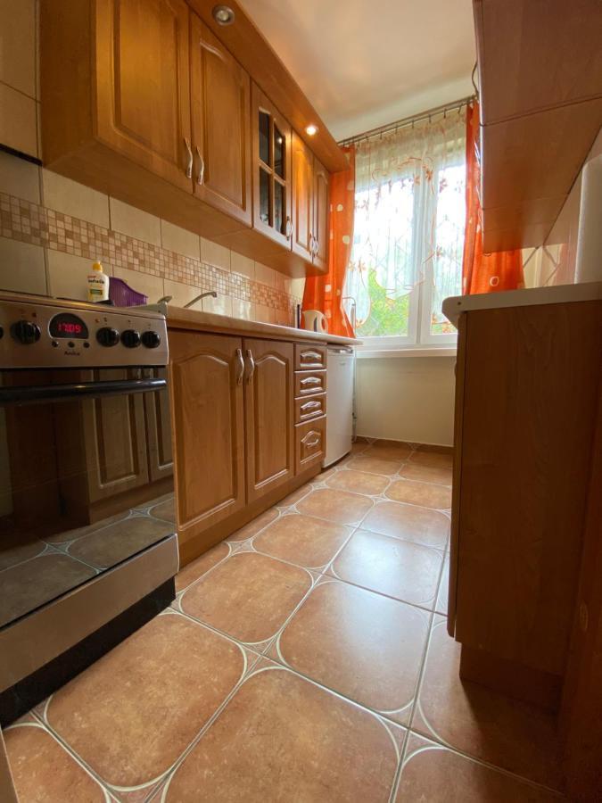 Apartment Slomiana *