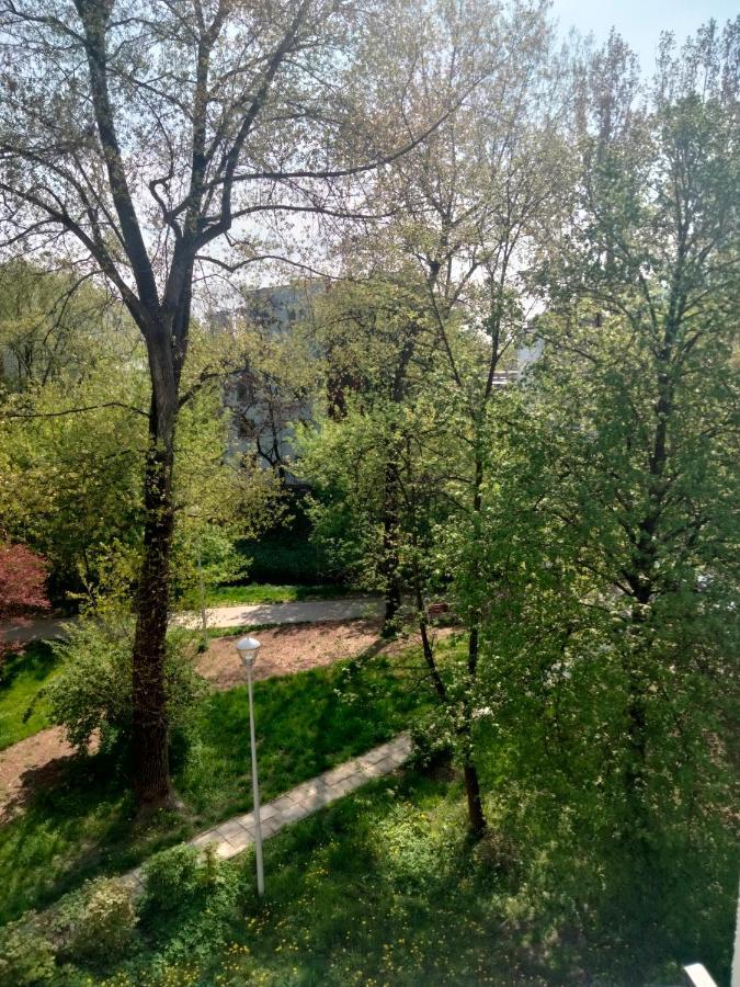 Wilenska Downtown Apartament