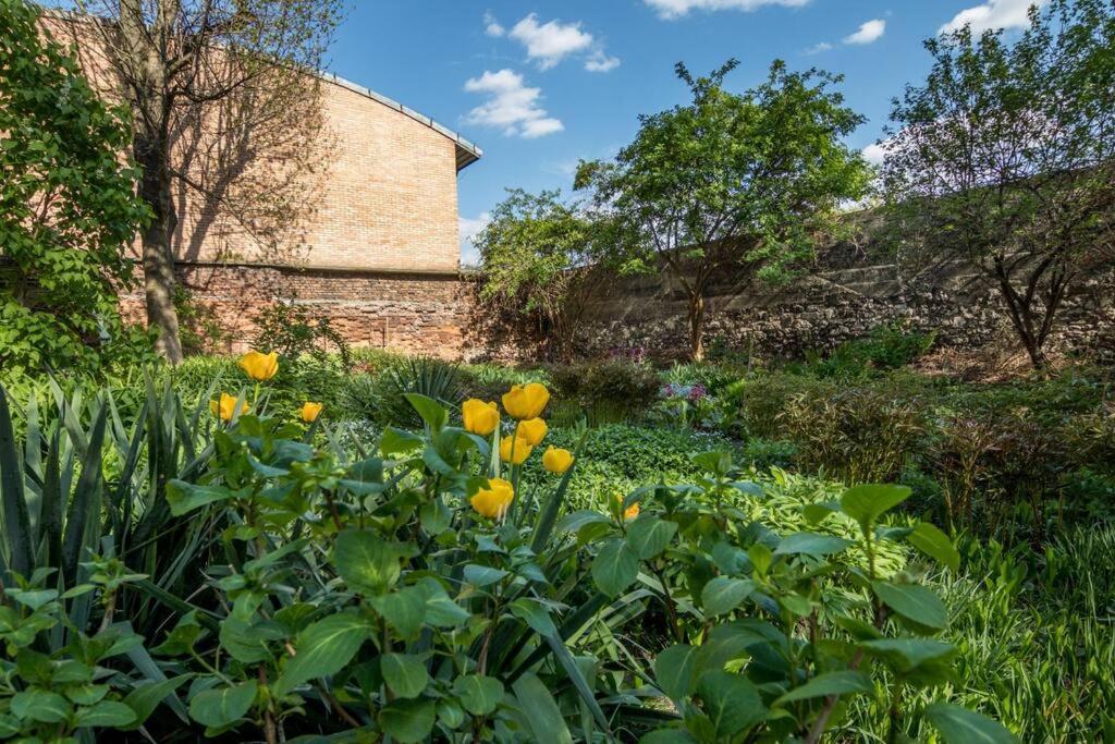 Apartamento Studio With Garden - Wawel Neighborhood *
