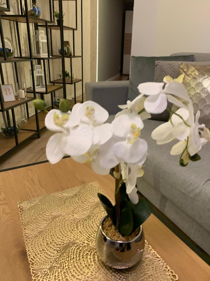 Moderno Appartement *