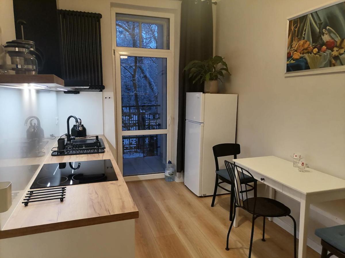 U Siemienia Apartment