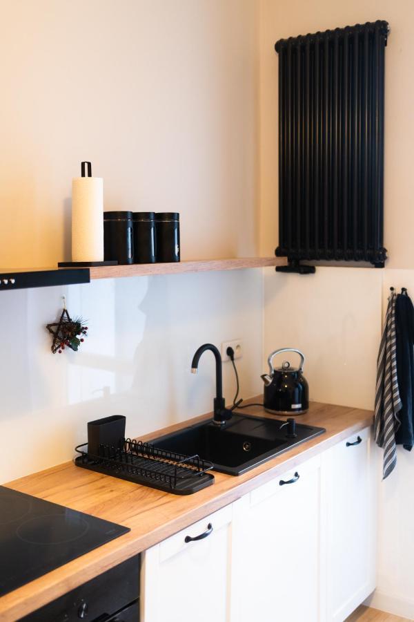 U Siemienia Apartment *