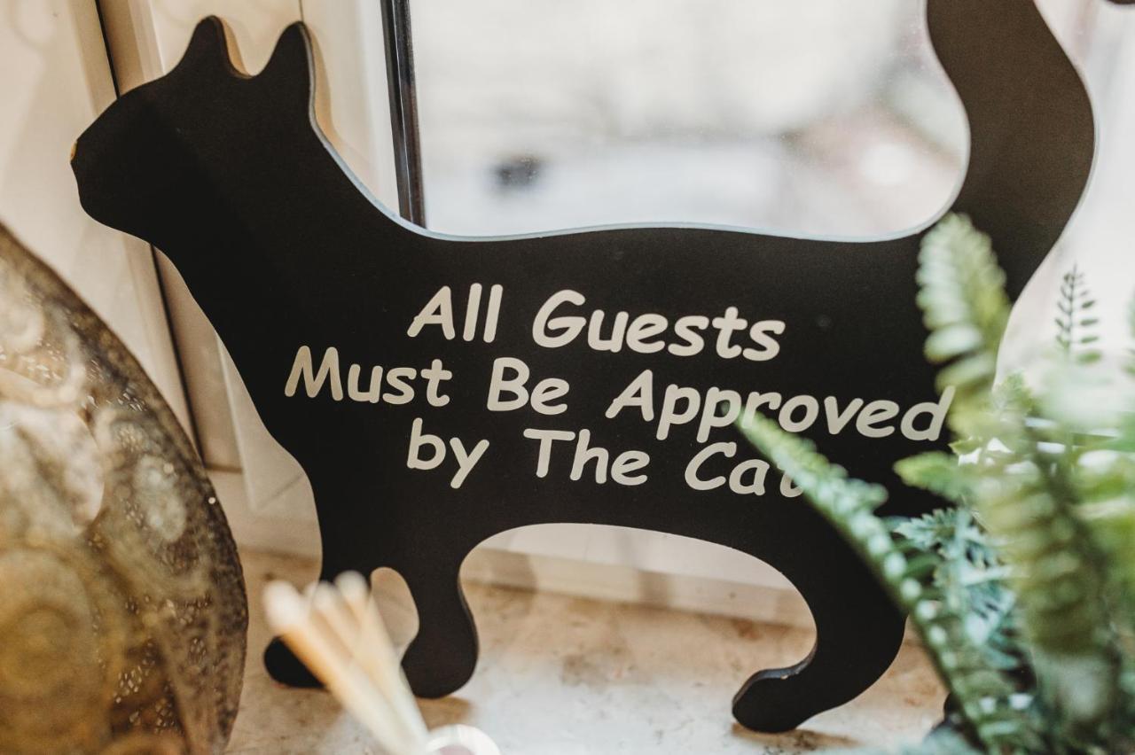 Apartment Fatcat *