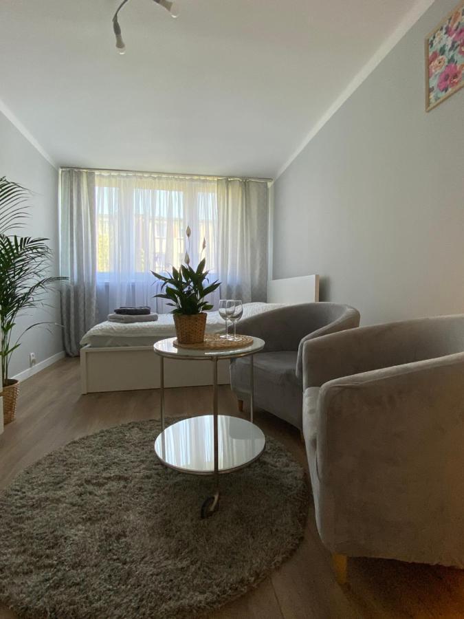 Garsoniera Centrum Apartment *