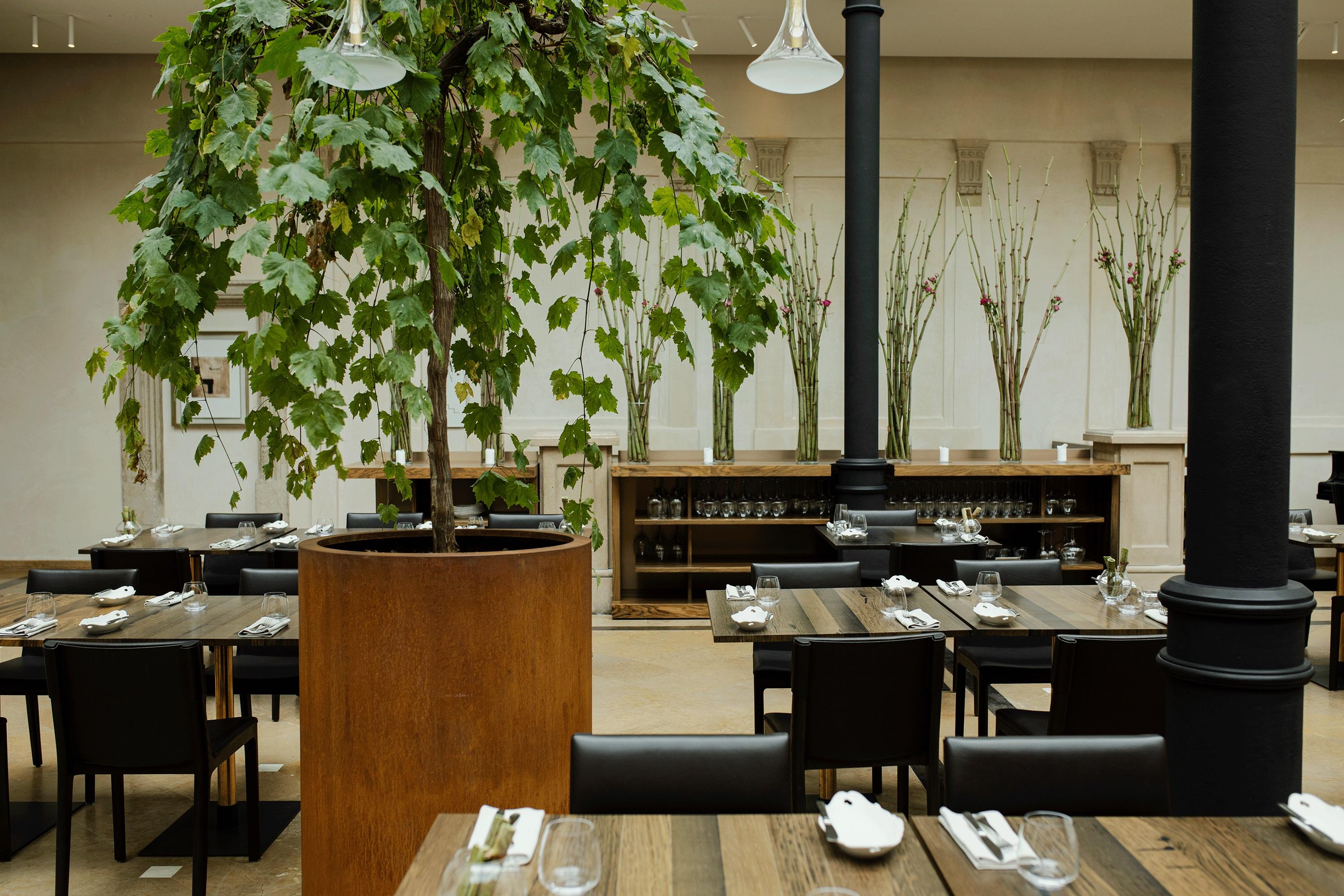Pod Roza 5* Krakow