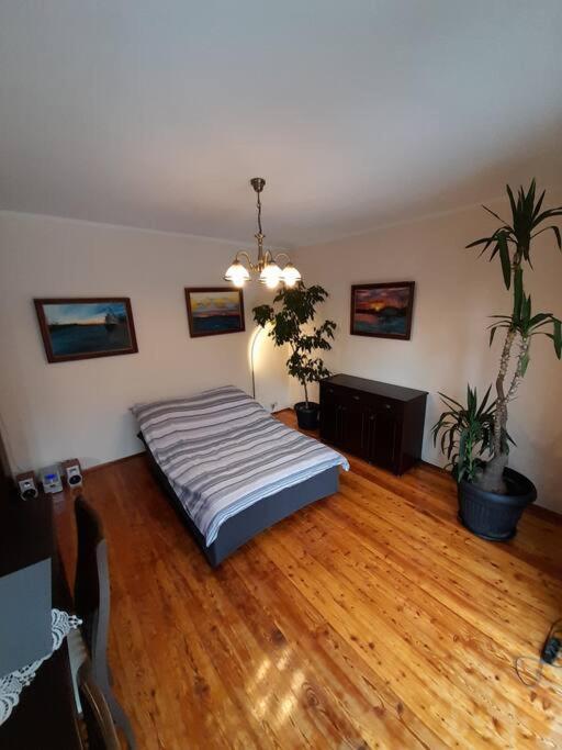 Bronowice- Parter Domu Apartment *