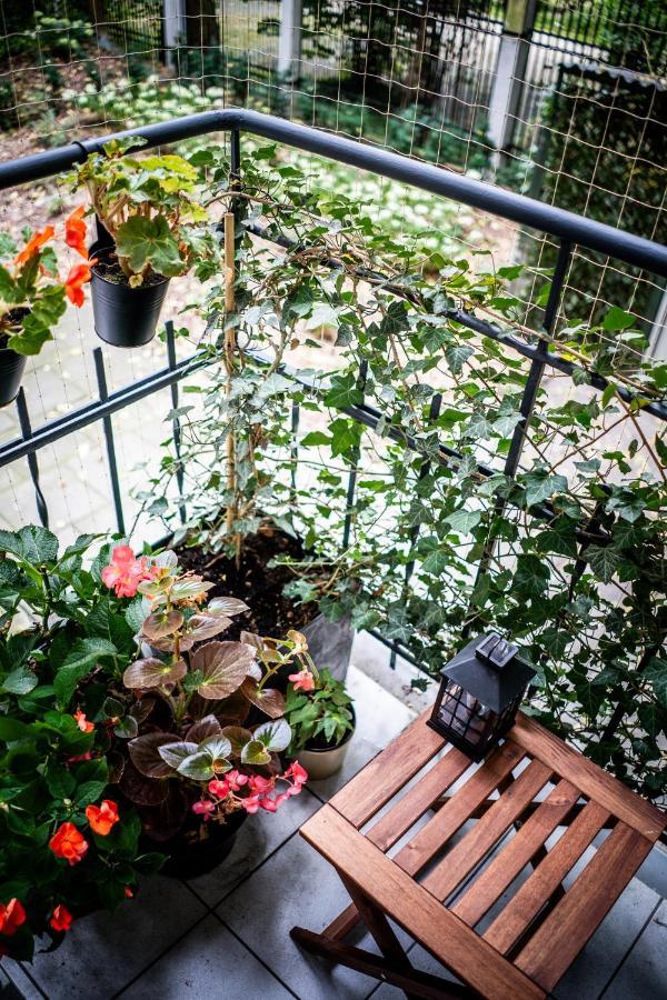 Apartment U Siemienia *