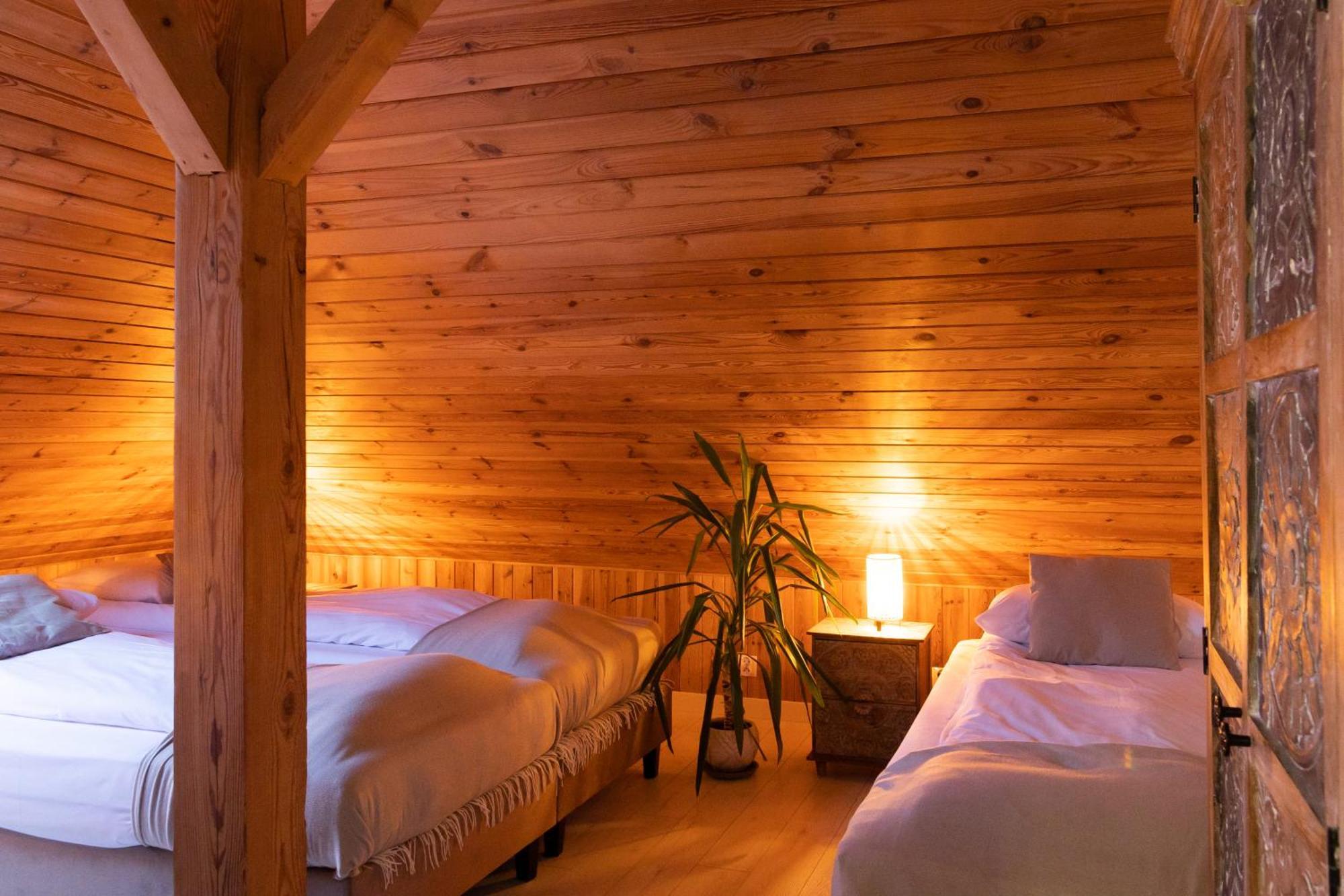 Gasthuis Blisshouse Luxurious Calm And Energetic Spot Near By Surrounded By The Forest Where Will Find Your Peace And Your People