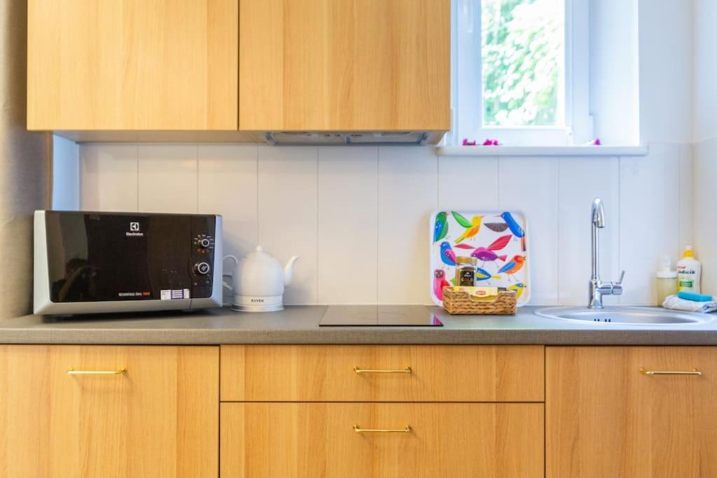 Apartament C W/balcony Kraków